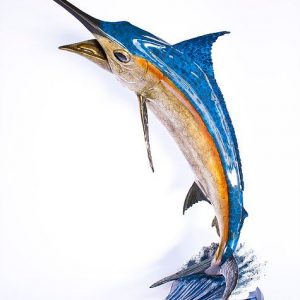Large Blue Marlin: Chris Barela