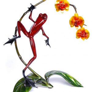 Orchid: Tim Cotterill (Frogman)