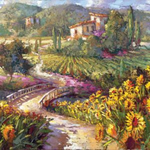 View of the Vineyard: Steven Quartly