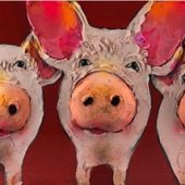 Pigs Online: Nicoletta Belletti