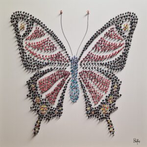 Mariposa II: Francisco Bartus