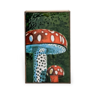 Mushroom: Houston Llew
