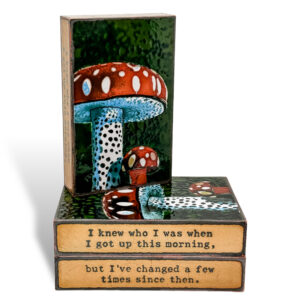 Mushroom: Houston Llew
