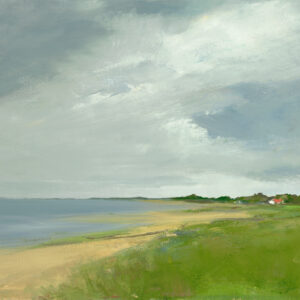 Limited Editions: Anne Packard
