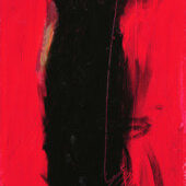 Scarlet Beauty: Henry Asencio