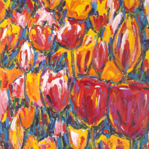 Tulips: John Stango