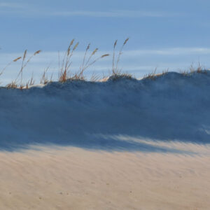 Sand Shadows: Simon Kenevan