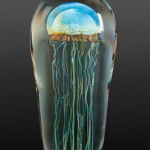 Moon Jellyfish: Richard Satava